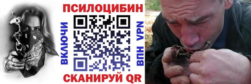 darknet официальный сайт  Питкяранта  Галлюциногенные грибы мицелий 